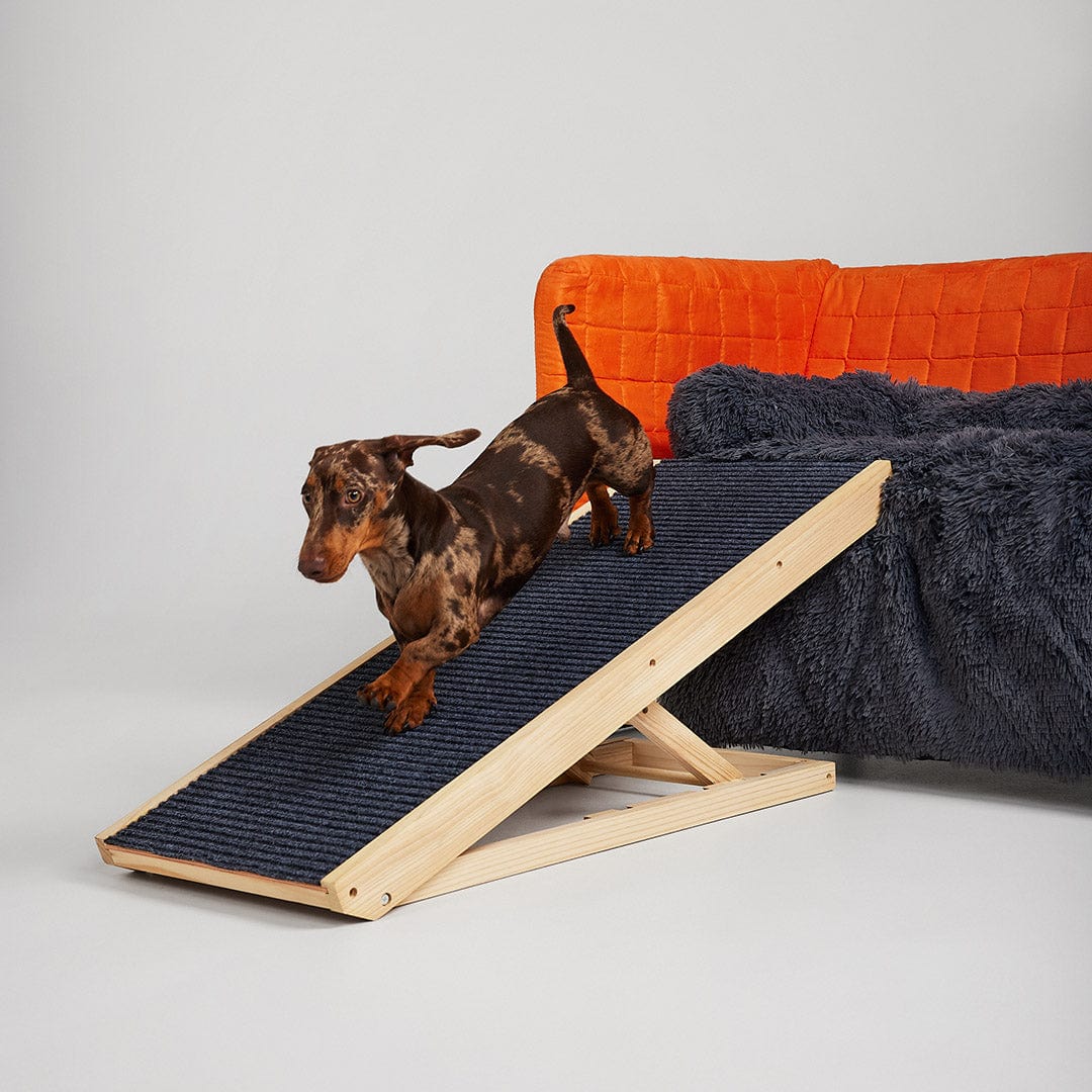 Dog hotsell ramp adjustable