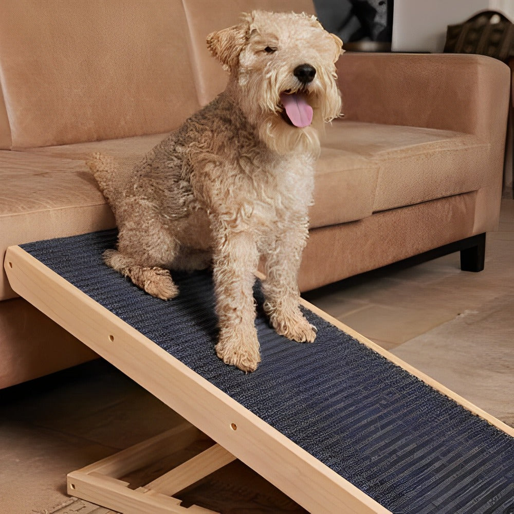 Adjustable Dog Ramp