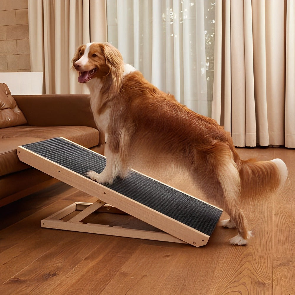 Adjustable Dog Ramp