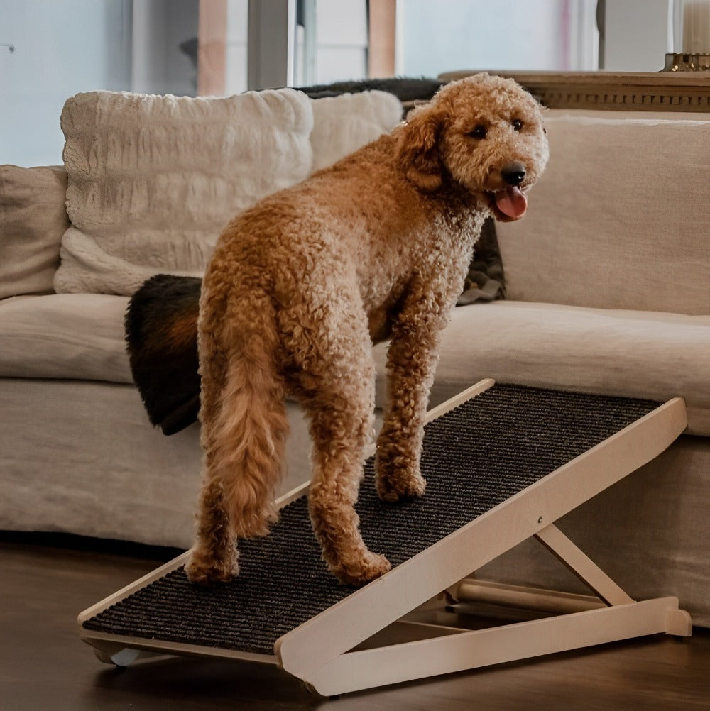 Adjustable Dog Ramp